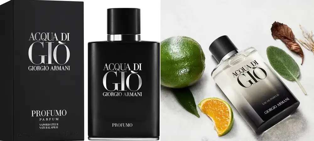Acqua di Gio armani long lasting perfume for man